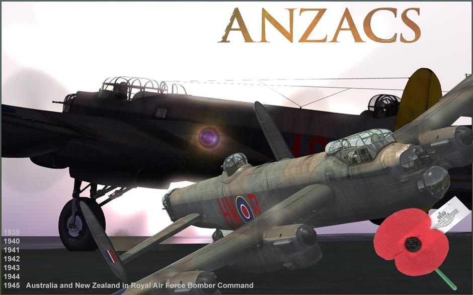 ANZAC2010Custom.jpg