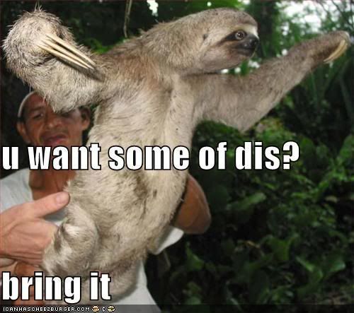 [Image: funny-pictures-angry-sloth.jpg]