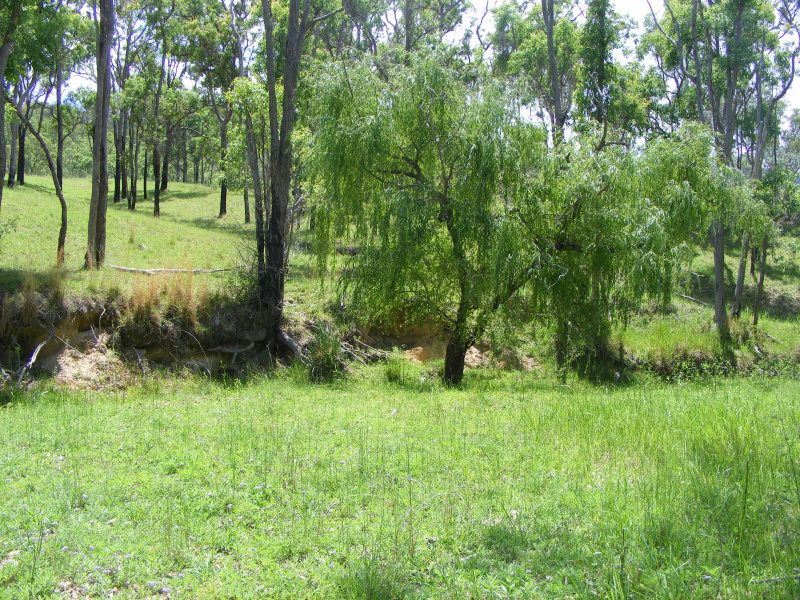 photo image6_zpsc71792f3.jpg