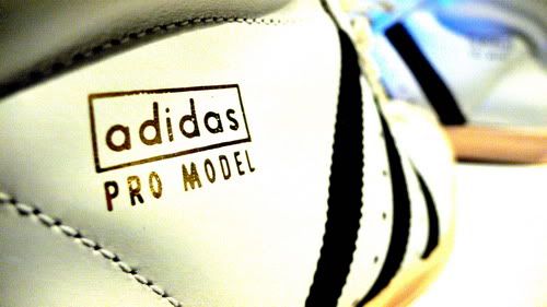 http://i100.photobucket.com/albums/m34/bgkt/DetailsofProModel1970-04.jpg