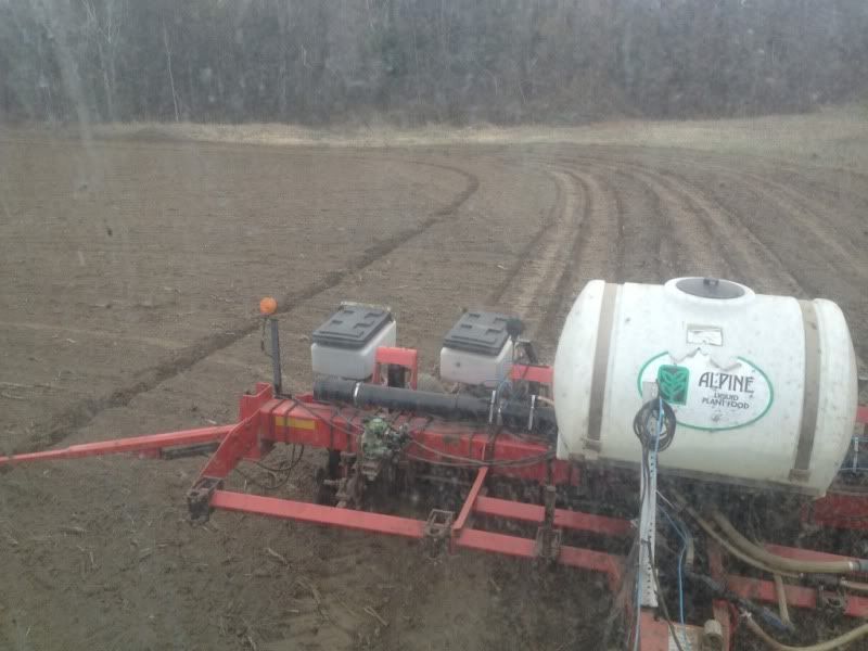 "New" tractor and spring pictures - Homesteading Questions