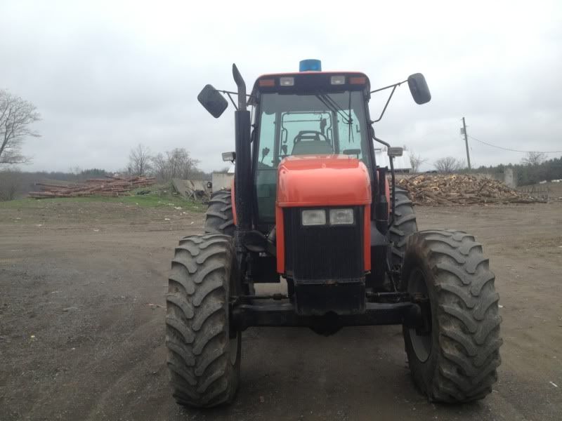 "New" tractor and spring pictures - Homesteading Questions