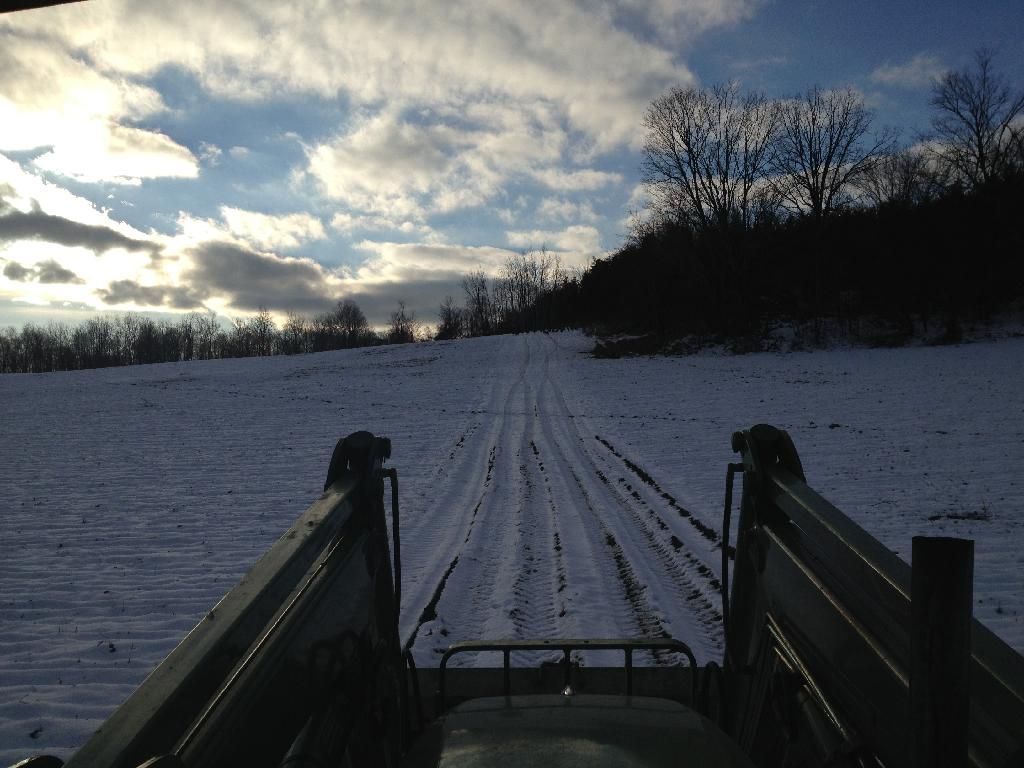 Turkey time - Homesteading Questions