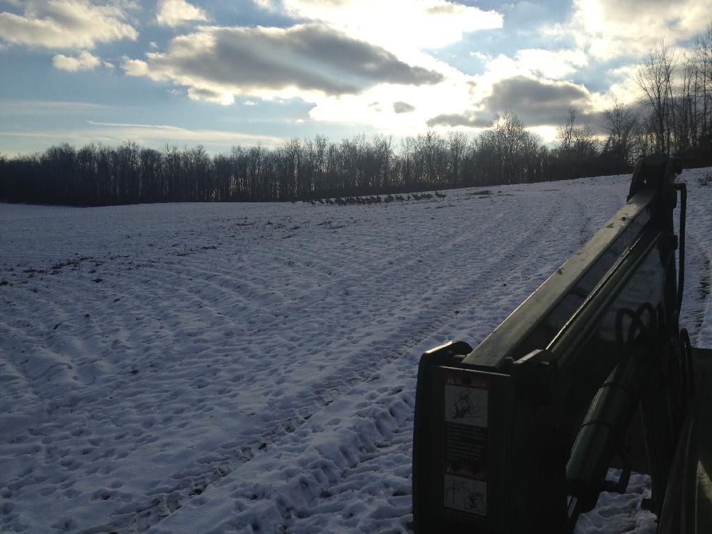 Turkey time - Homesteading Questions