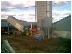 Entire Hog Farm Operation... for free... - Homesteading Questions