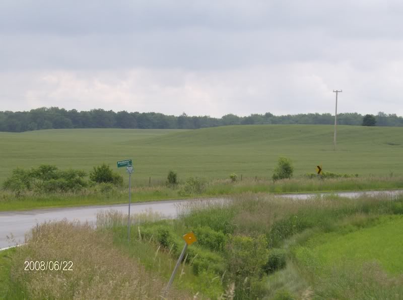 Little crop tour : lots of pics - Homesteading Questions