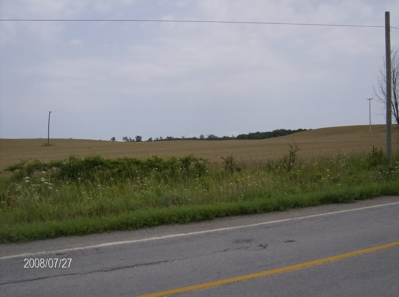 July 27 Crop Tour - pics w/hail damage - Homesteading Questions