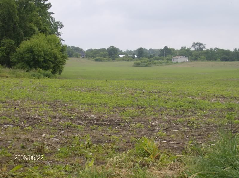 Little crop tour : lots of pics - Homesteading Questions