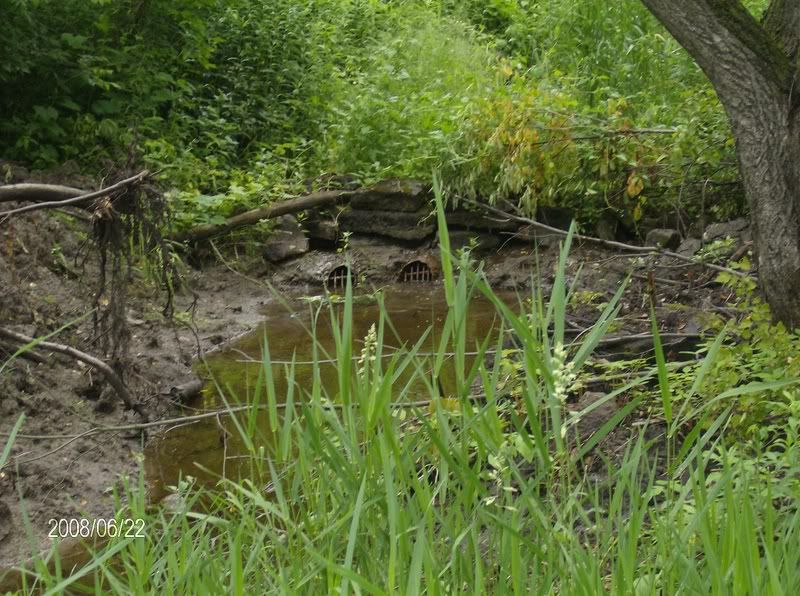 Little crop tour : lots of pics - Homesteading Questions