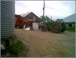 how would you store loose hay? - Homesteading Questions