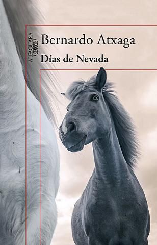 DГ­as de Nevada - Bernardo Atxaga 