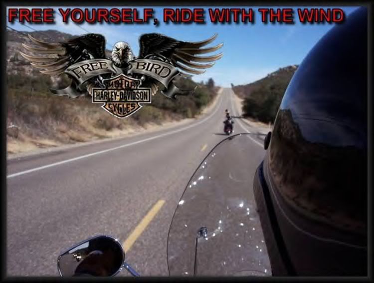 free biker Pictures, Images and Photos