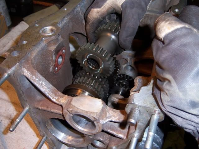 Bild