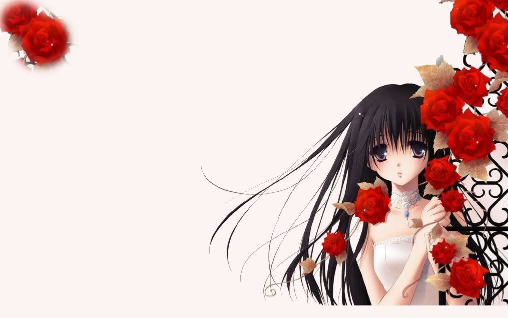 red flowers Pictures, Images and Photos