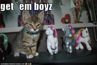 funny-pictures-kitten-has-pony-army.jpg