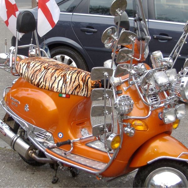 External inline image provided by member with no explanatory text