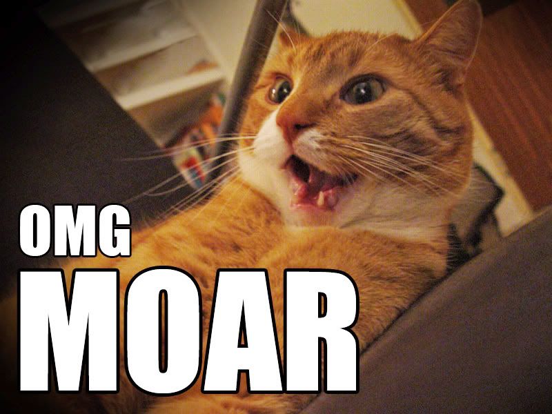 omg_moar_cat.jpg