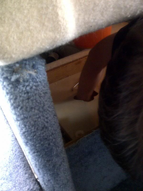 What to do when the macerator won't pump out the holding tank contents