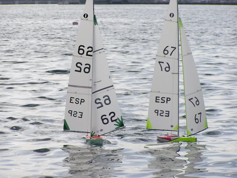 P1010013.jpg