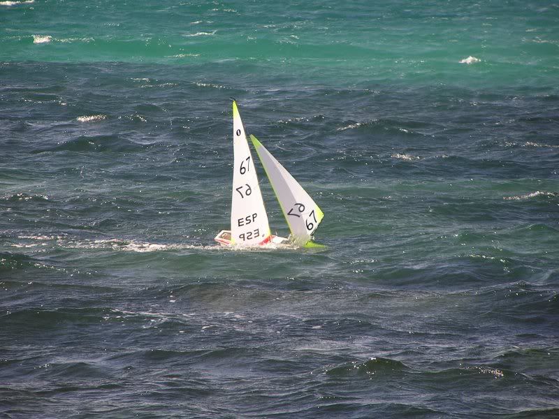 P1010018.jpg