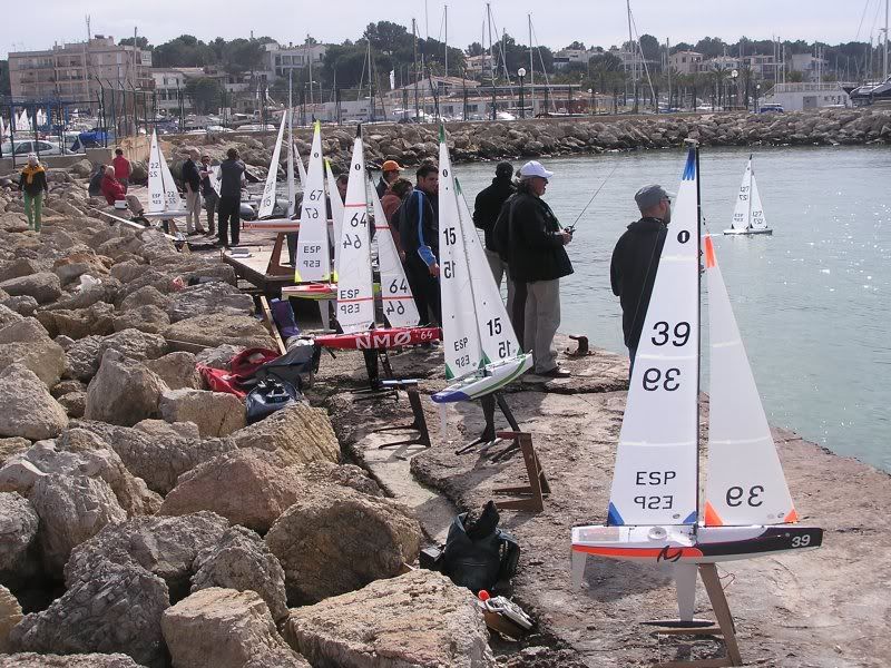 p1010015.jpg