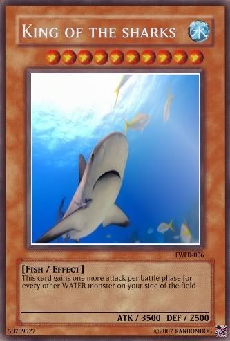 Kingofthesharks.jpg