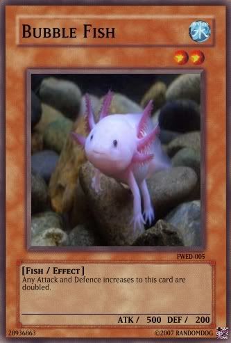 bubblefish.jpg