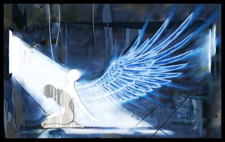 Angel Wings Of TransFormation