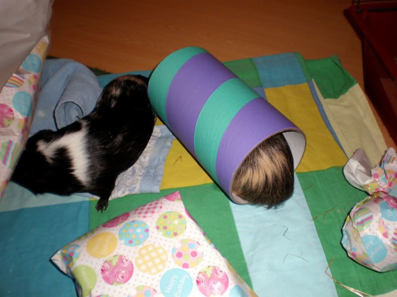 bday3.jpg