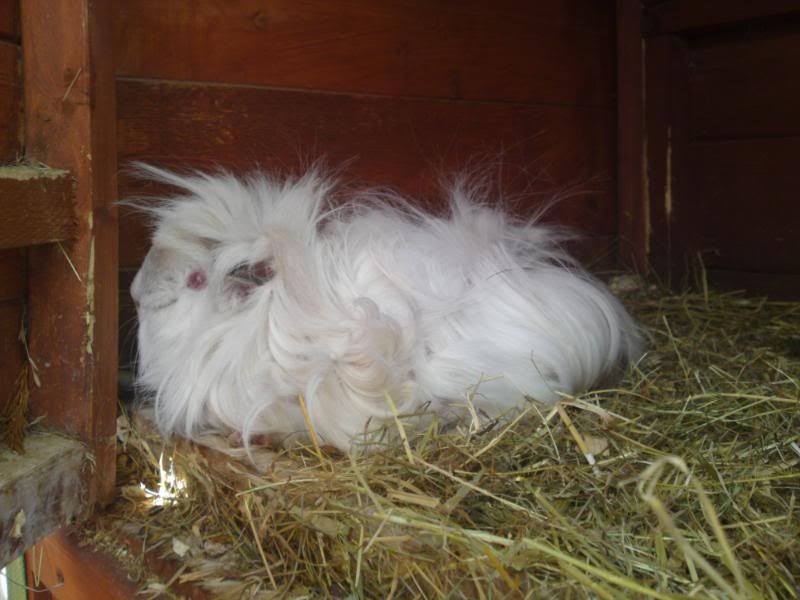 22052010249.jpg