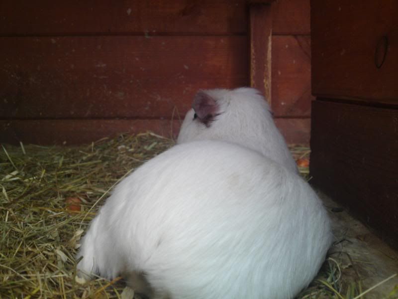 22052010250.jpg