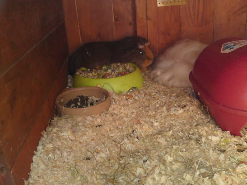 22052010255.jpg