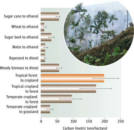 Carbon emissions (in metric tons/hectacre) from tropical deforestation compared to other agricultural processes. ©2009 Science Magazine, all rights reserved.