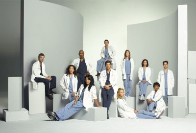 Greys Anatomy image ©2009 ABC, all rights reserved