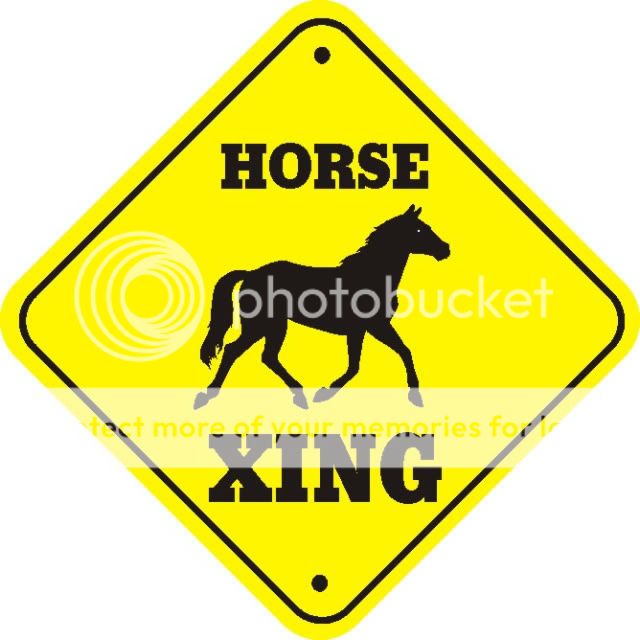 Horse_xing_thumb_640.jpg